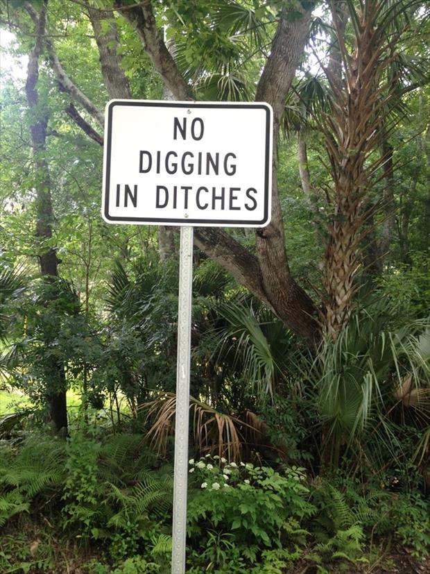 funny signs (14)