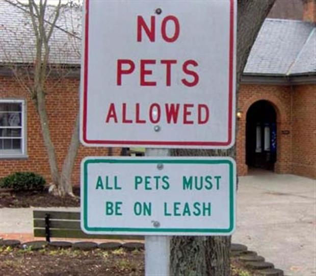 funny signs (22)