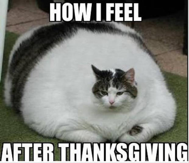 how I feel after thanksgiving