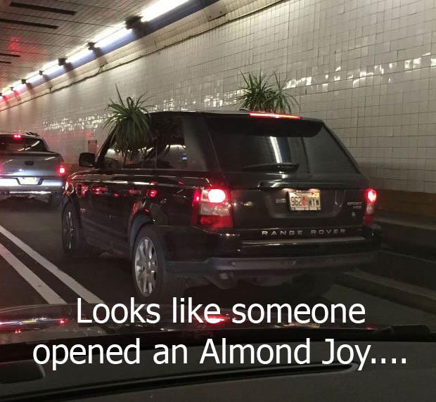 looks like someone opened an almond joy