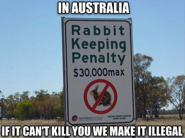 meanwhile in australia