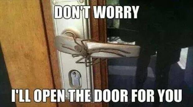 open the door for you