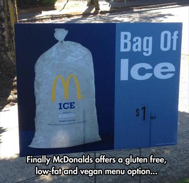 the bag of ice