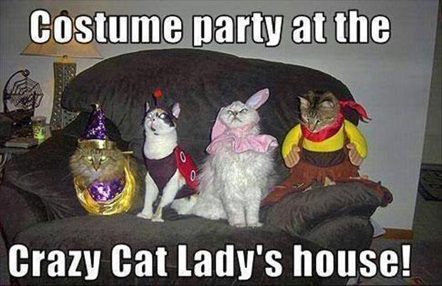 the funny costume party