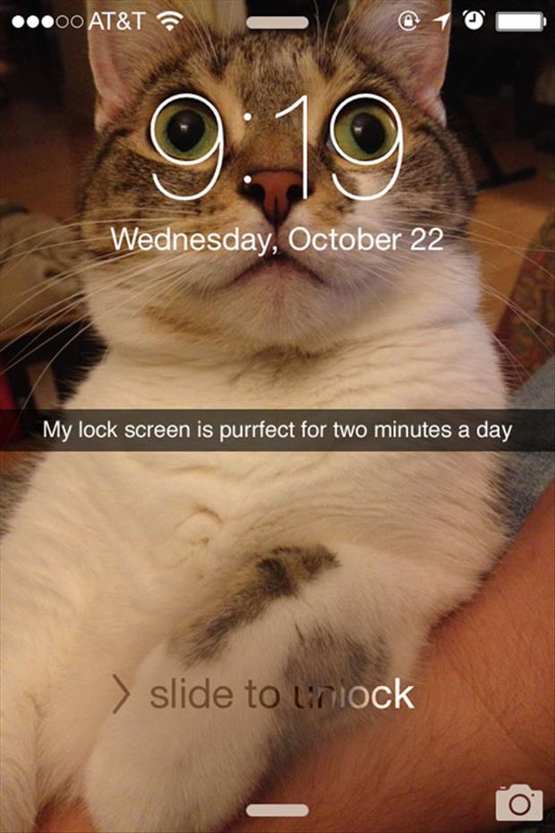 the perfect screen
