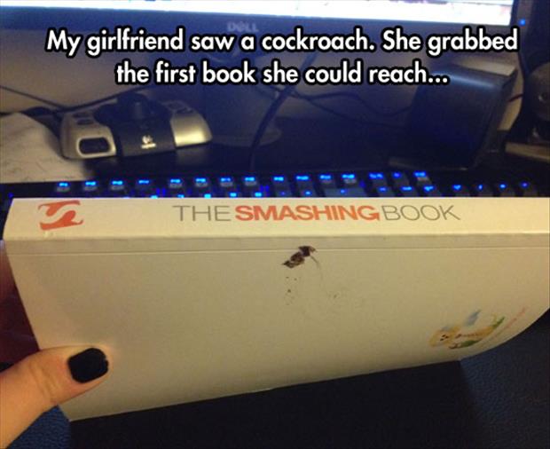 the smashing book