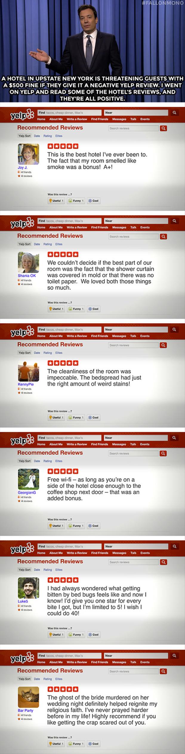 yelp reviews