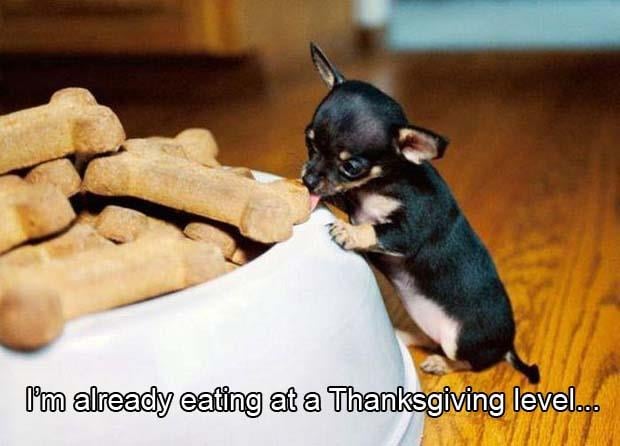 I'm already eating at a Thanksgiving level