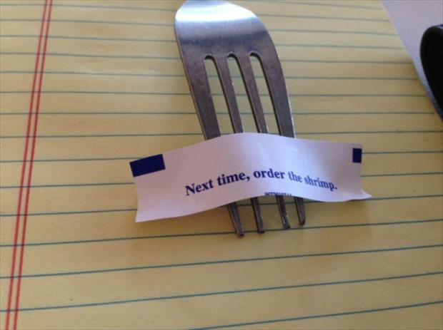 fortune cookie funny (10)