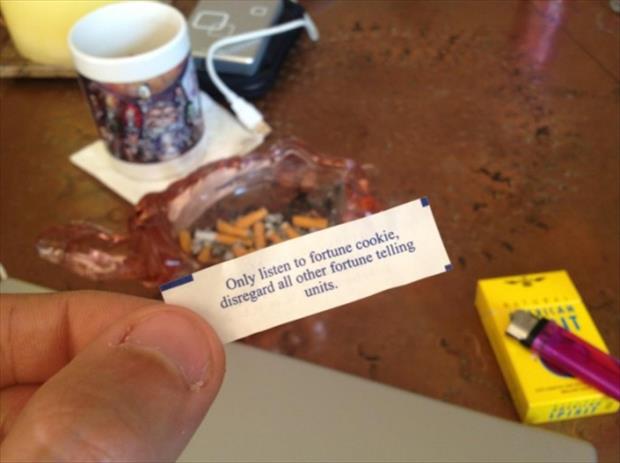 fortune cookie funny (3)