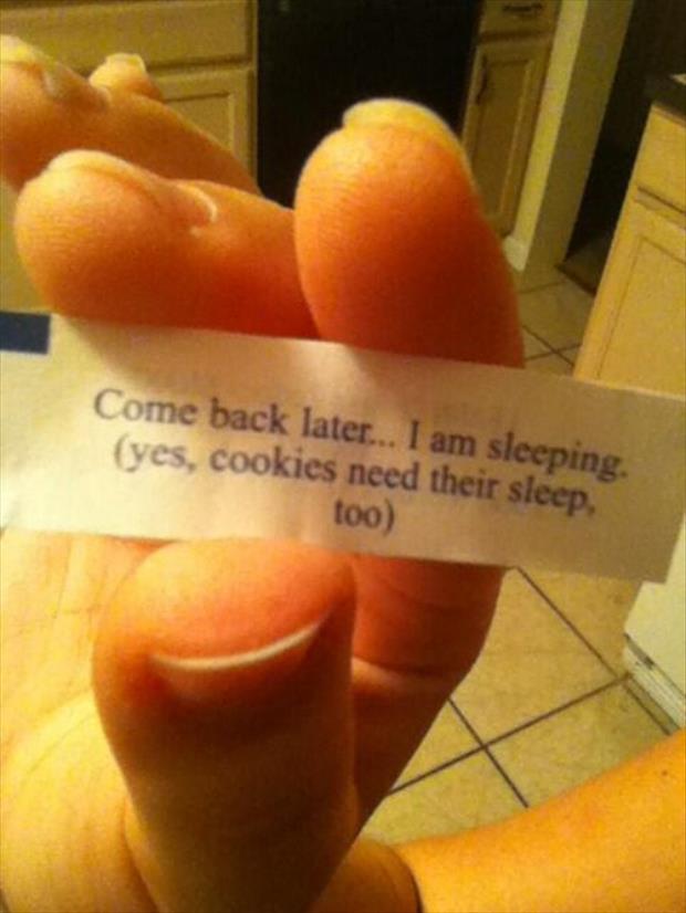 fortune cookie funny (4)