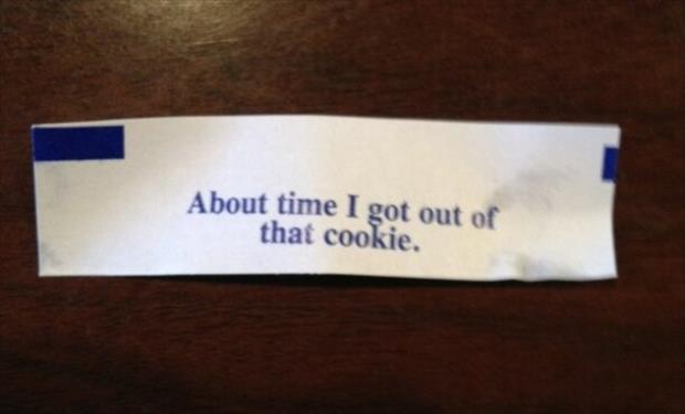 fortune cookie funny (6)