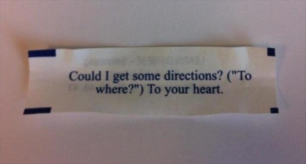 fortune cookie funny (8)