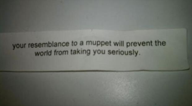 fortune cookie funny (9)
