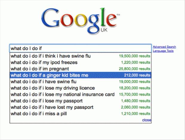 funny google searches (8)