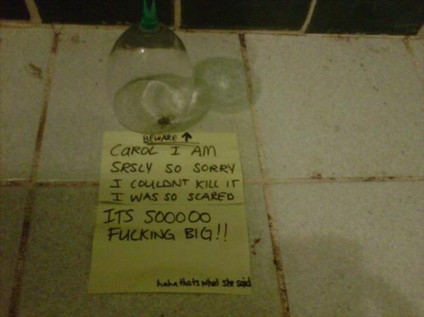 funny notes (5)