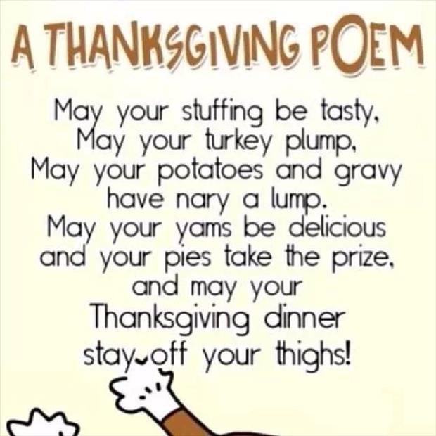 funny thanksgiving picture