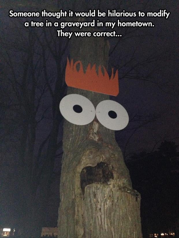 funny tree