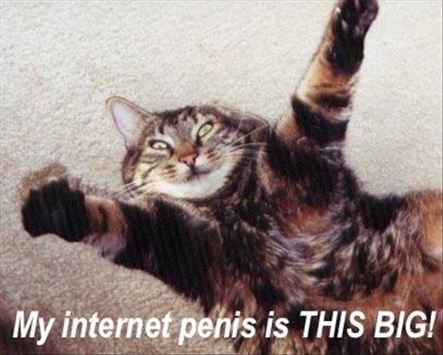 internet penis