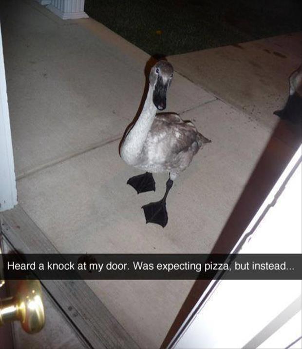 knock at the door