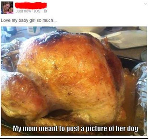 picture of your dog