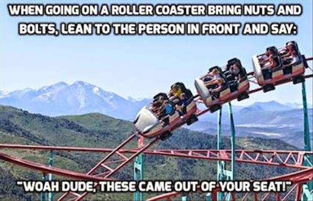 roller coasters