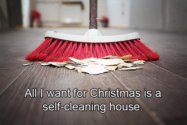 self cleaning house