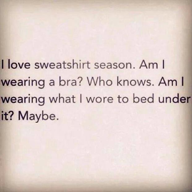 sweatshirt season