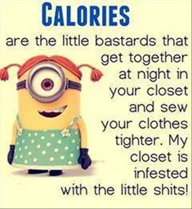 the calories