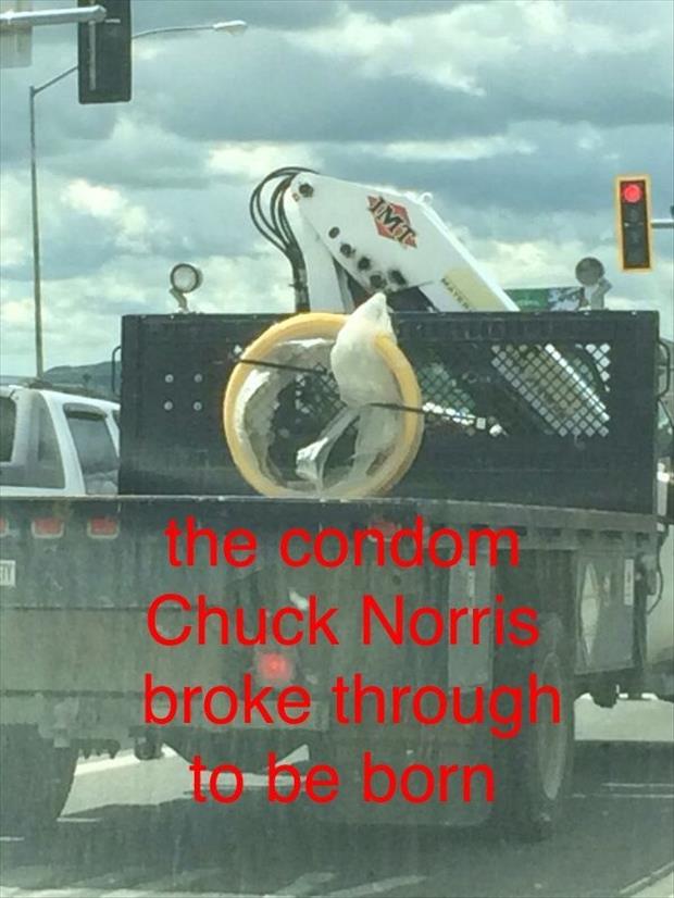 the condom chuck norris broke