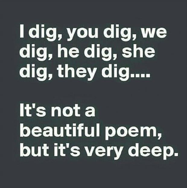 the dig poem