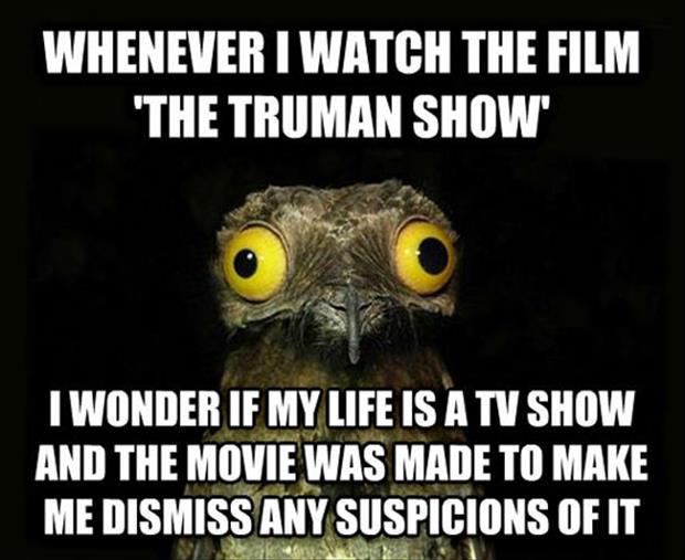 the truman show