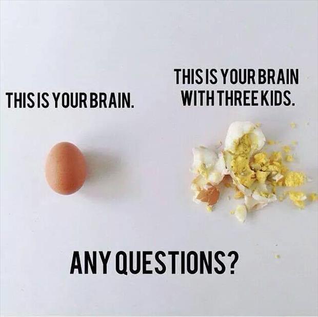 this is your brain