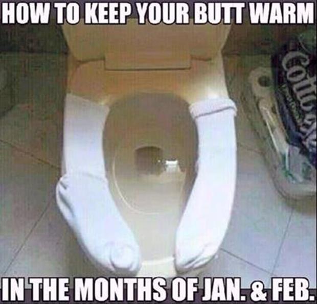 toilet seat warmer