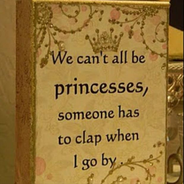 we can't all be princesses