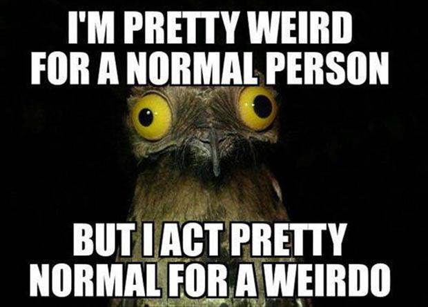 I'm pretty weird