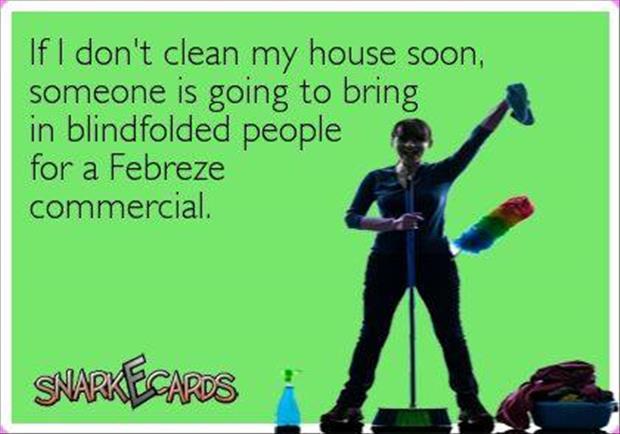 clean my house soon