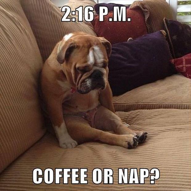 coffee or nap