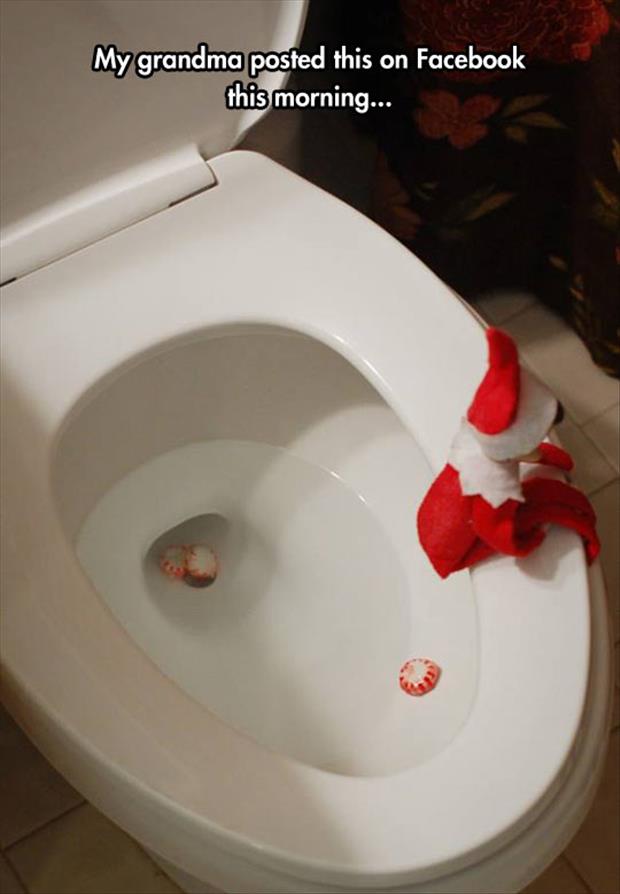 elf on the shelf funny