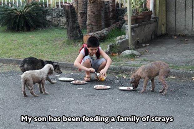 faith in humanity restored kids edition (9)