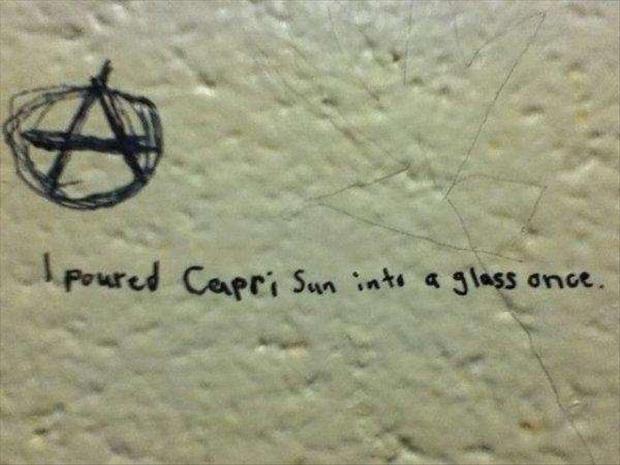 funny bathroom walls (13)