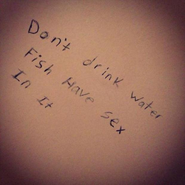 funny bathroom walls (19)