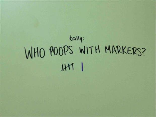 funny bathroom walls (27)