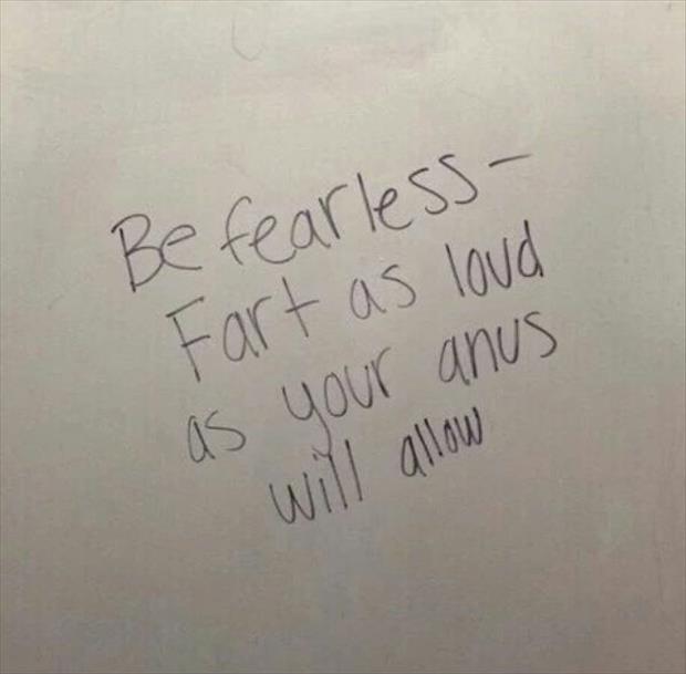 funny bathroom walls (3)