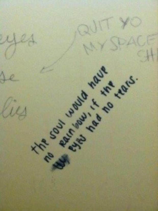 funny bathroom walls (8)