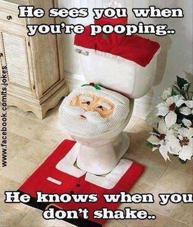 funny christmas pictures (1)