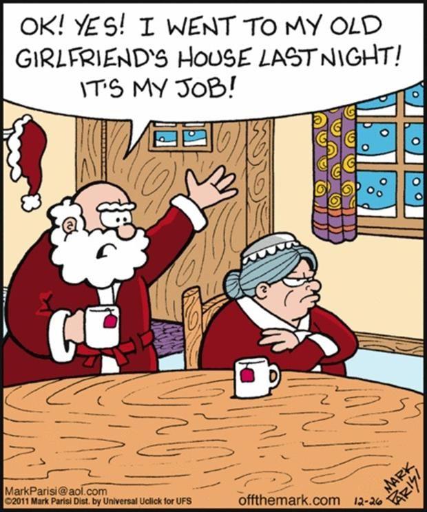 funny christmas pictures (12)