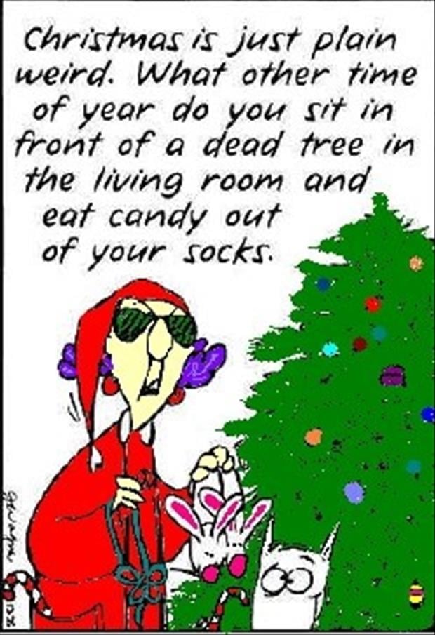 funny christmas pictures (2)