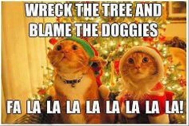 funny christmas pictures (21)