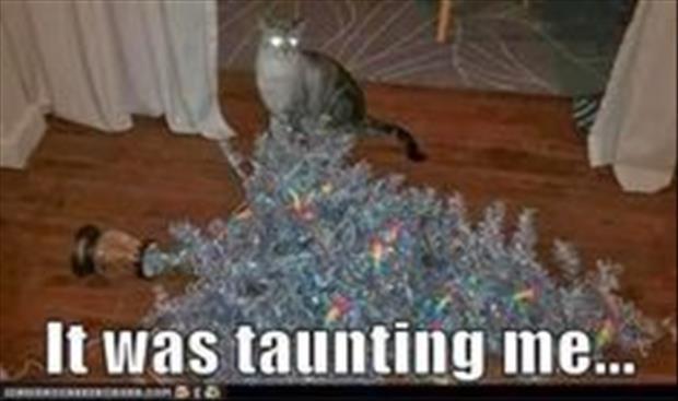 funny christmas pictures (22)